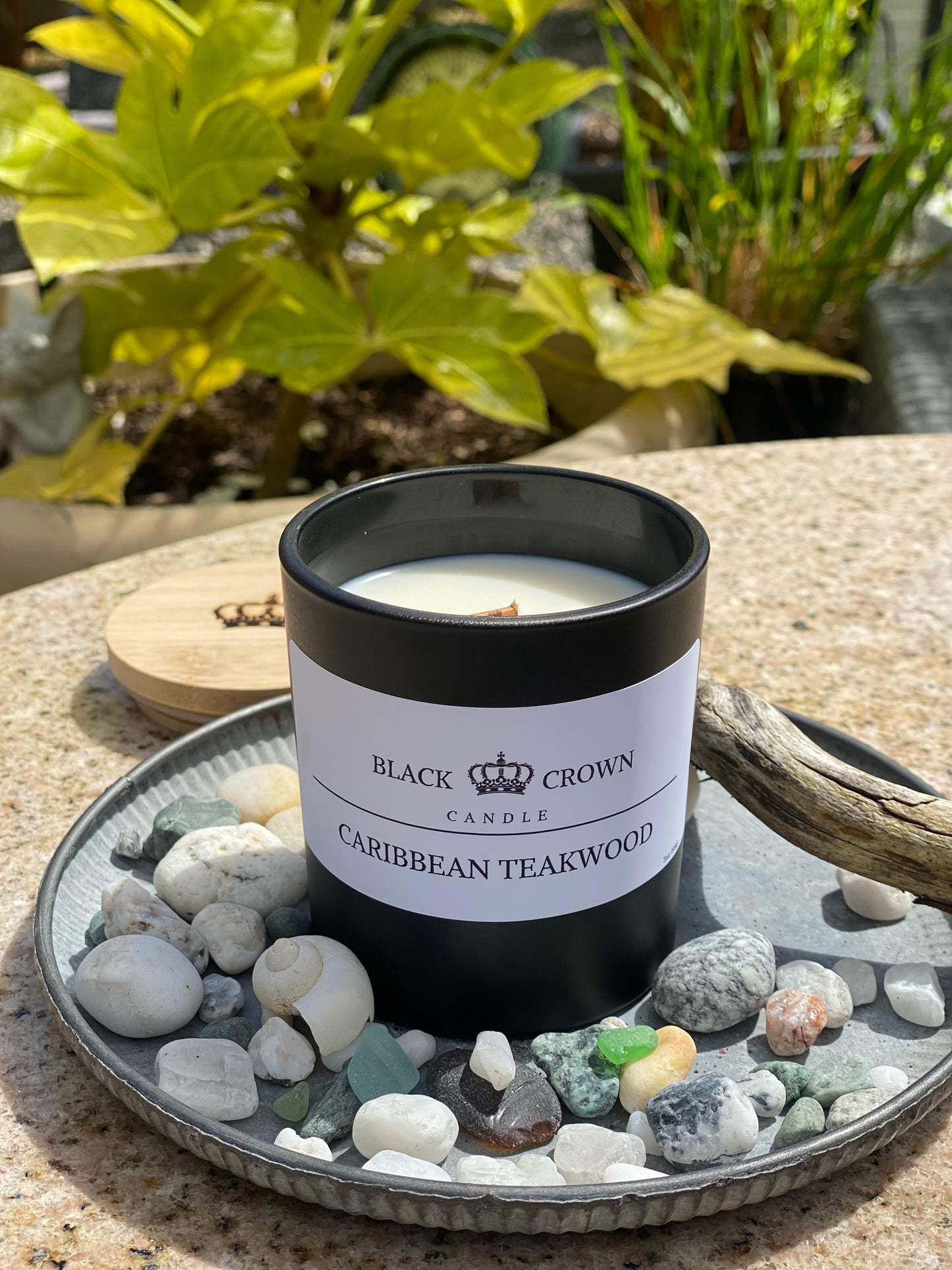 Caribbean Teakwood 7oz soy candle